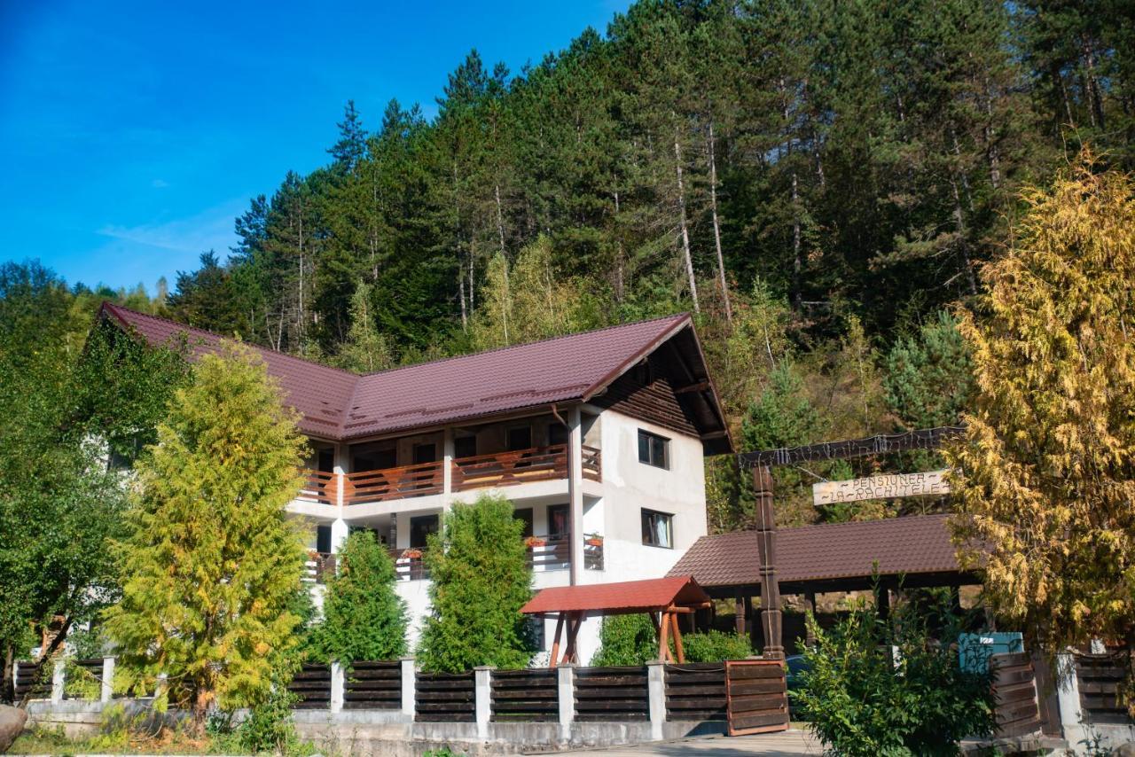 Pensiunea La Rachitele Exterior foto