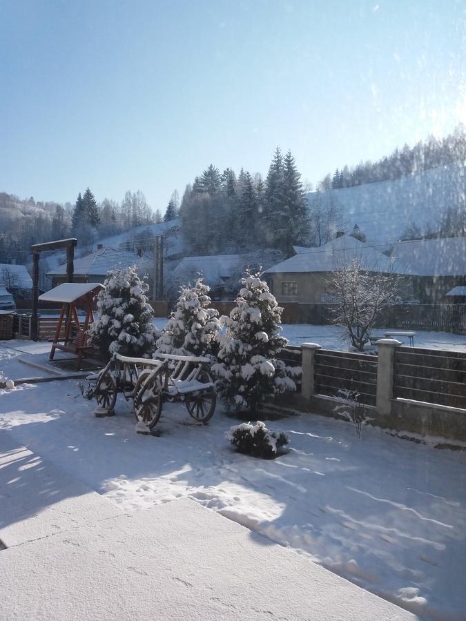 Pensiunea La Rachitele Exterior foto