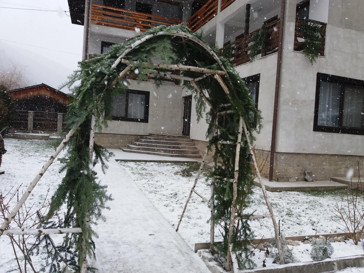 Pensiunea La Rachitele Exterior foto